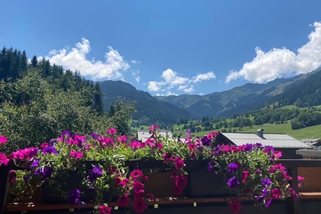 Mountain View Apartment ماريا ألم ام شتاينر المظهر الخارجي الصورة