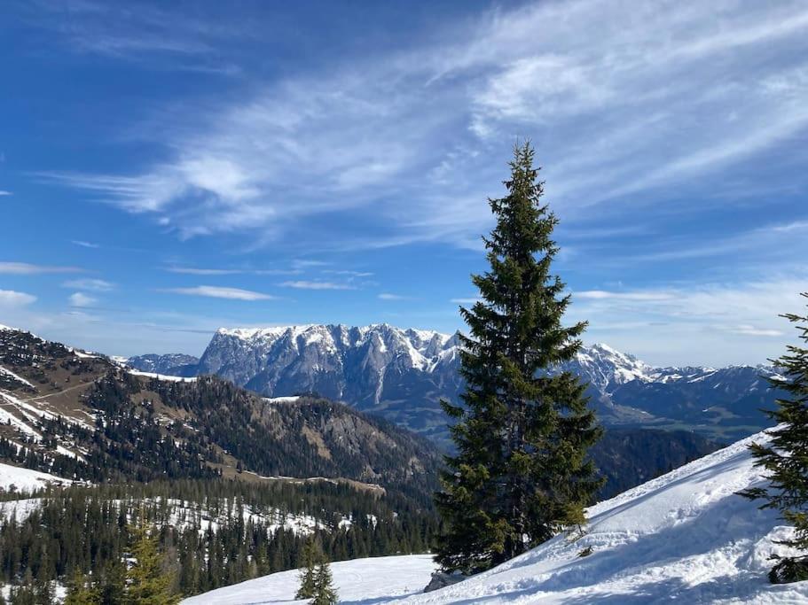Mountain View Apartment ماريا ألم ام شتاينر المظهر الخارجي الصورة